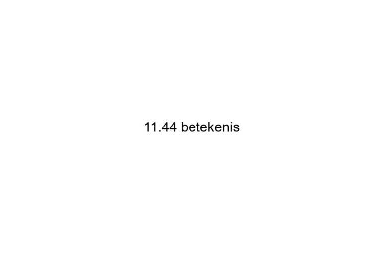 11 44 betekenis