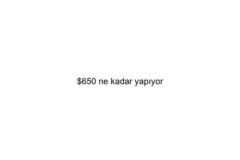 650 ne kadar yapyor