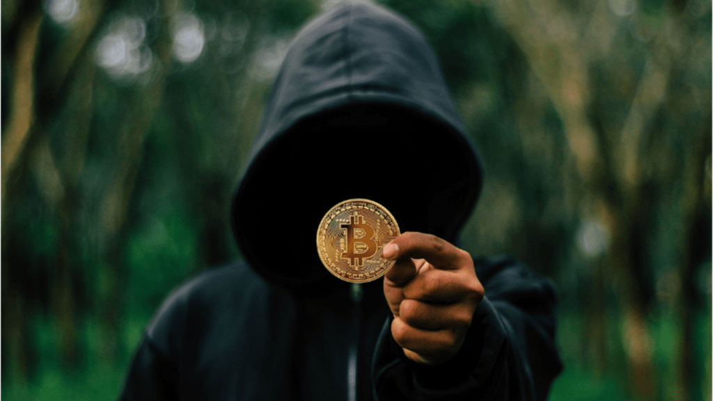 bitcoin in hoodie