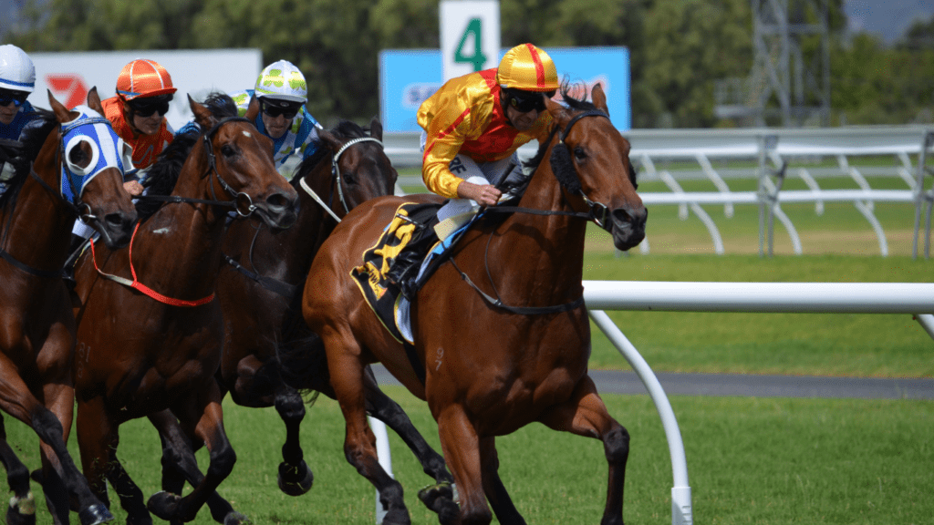 a group of jockeys racing horses on a track