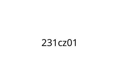 231cz01
