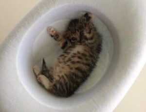 binance exchange drhcryptology