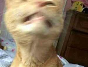 bitcoin tips drhcryptology