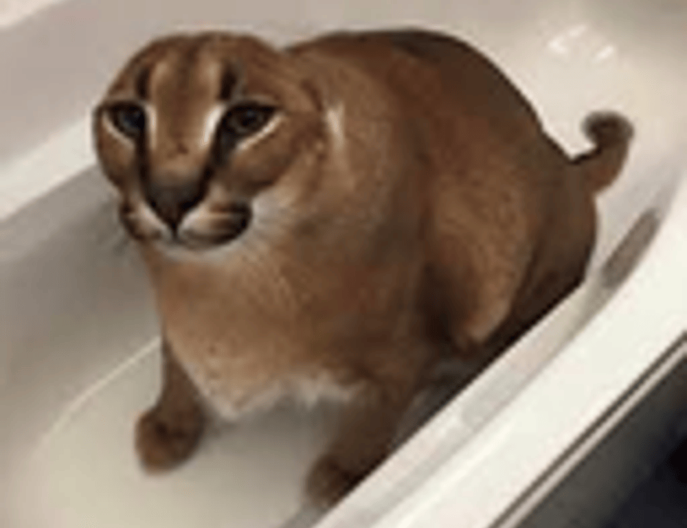 drhcryptology crypto guide by drhomey