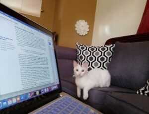 how can i prevent pavatalgia disease