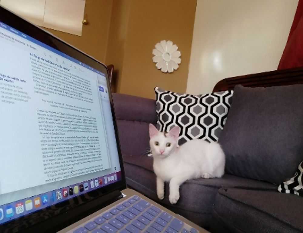 how can i prevent pavatalgia disease