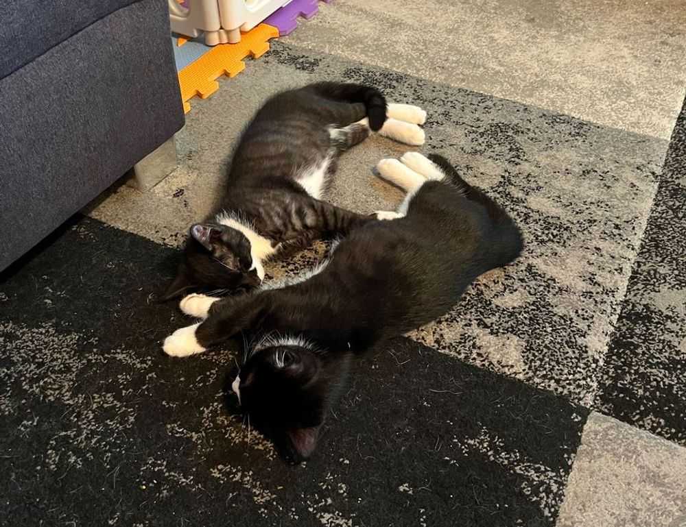 how do crypto charts work drhcryptology