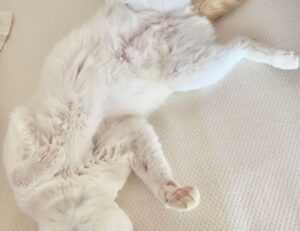 how to keep your network safe nft etrsnft