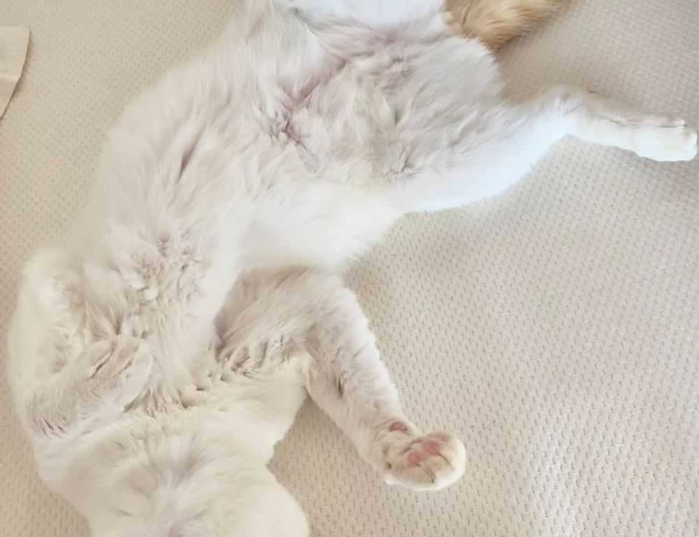 how to keep your network safe nft etrsnft