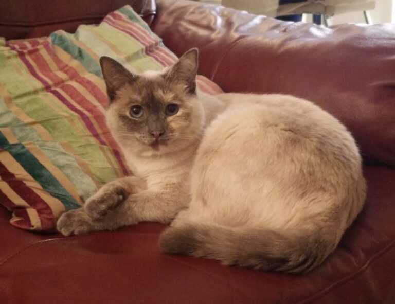 how to mint an nft etrsnft