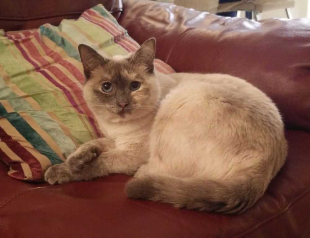 how to mint an nft etrsnft