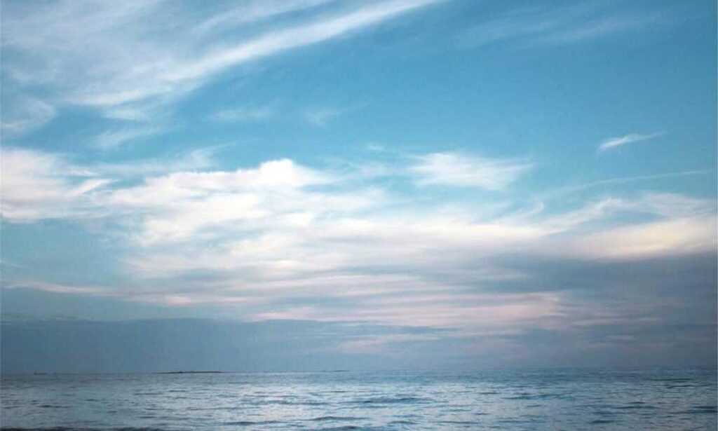 what is the most profitable nft etrsnft