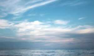 what is the most profitable nft etrsnft