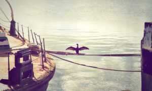 what should zavagouda sauce taste like