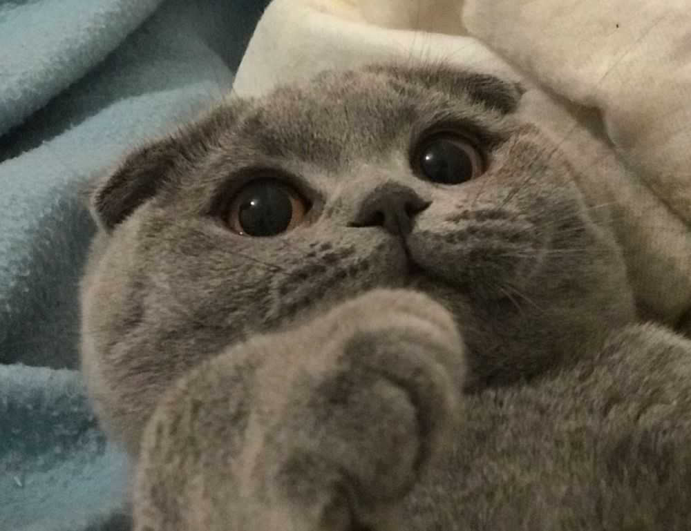 why choose cryptocurrency drhcryptology