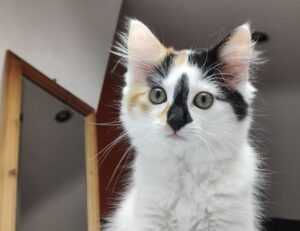 why crypto is a good investment drhcryptology