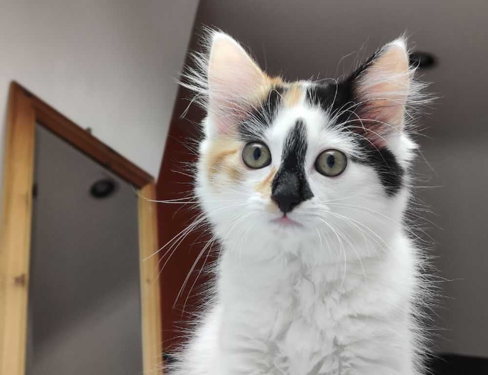 why crypto is a good investment drhcryptology