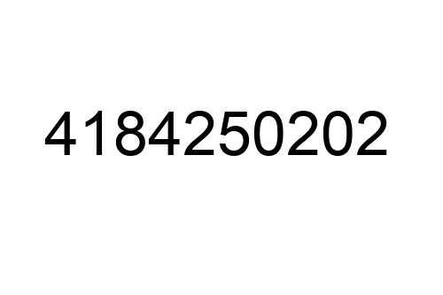 4184250202