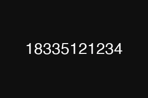 18335121234