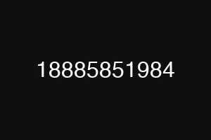 18885851984