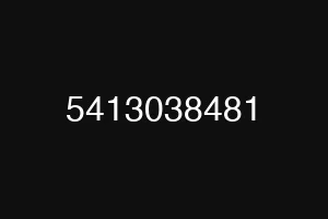 5413038481
