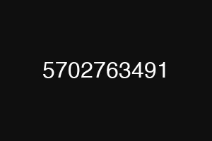 5702763491