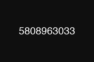 5808963033