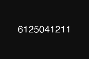 6125041211