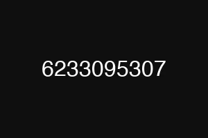 6233095307