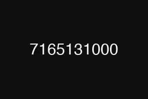 7165131000