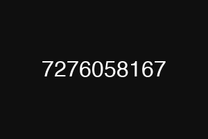 7276058167
