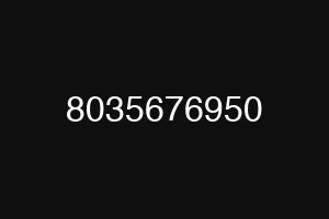 8035676950