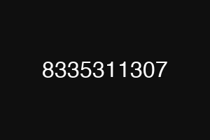 8335311307