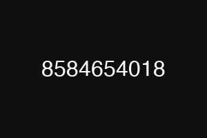 8584654018