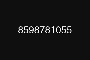 8598781055