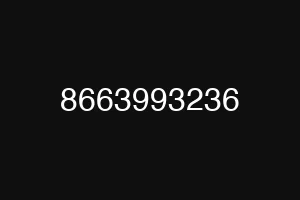 8663993236