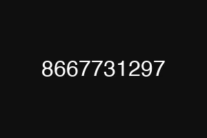 8667731297