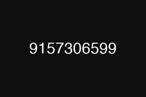 9157306599