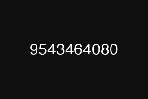 9543464080