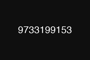 9733199153