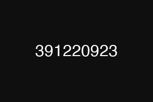 391220923