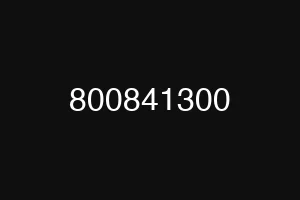 800841300
