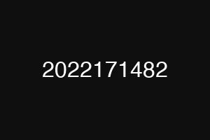 2022171482