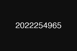 2022254965