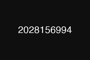 2028156994