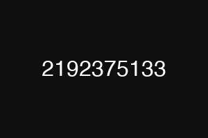 2192375133