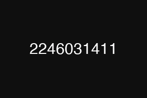2246031411