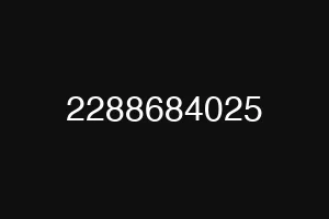 2288684025