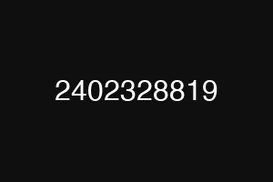 2402328819