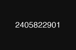 2405822901